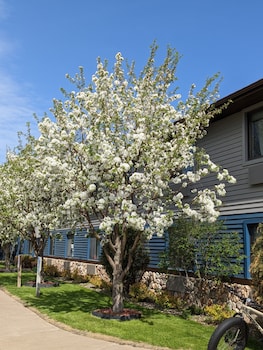 super 8 by wyndham baxter brainerd area