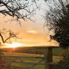 Immaculate Lotus Belle Tent Retreat, North Devon,,2 star