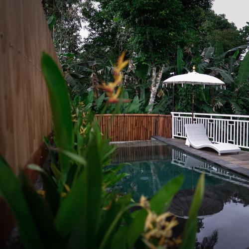 triyana resort and glamping