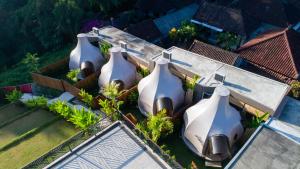 triyana resort and glamping