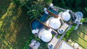 triyana resort and glamping
