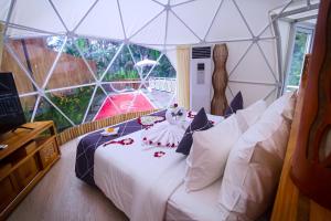triyana resort and glamping