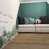 happy family apartments cairoli studio