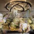sheraton eatontown hotel