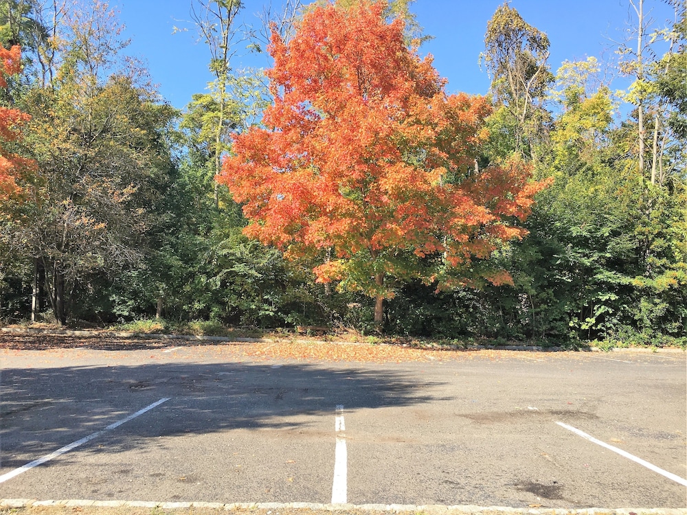 colts neck inn hotel