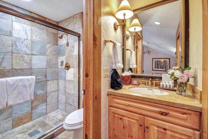mountain lodge telluride