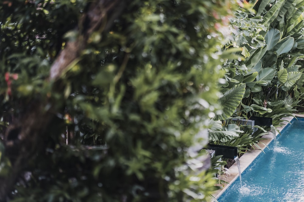 kharista villas and retreat by ekosistem