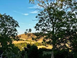 polegate