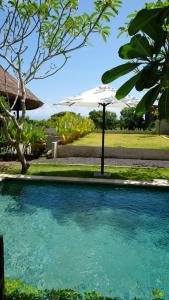 kultur pecatu micro villa