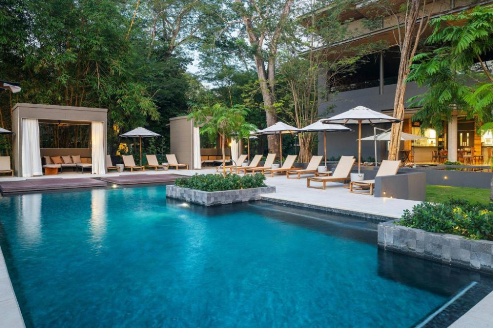 el mangroove papagayo autograph collection