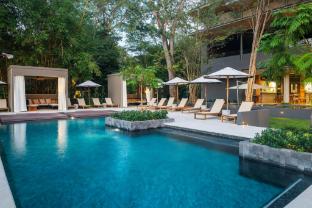 el mangroove papagayo autograph collection