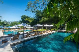 el mangroove papagayo autograph collection