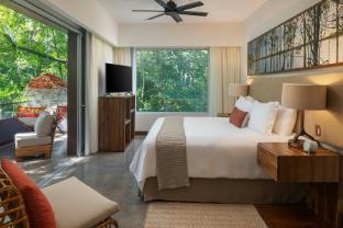 el mangroove papagayo autograph collection