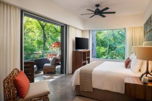 el mangroove papagayo autograph collection