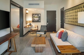 el mangroove papagayo autograph collection