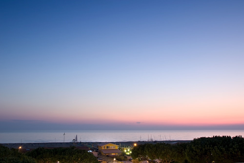 versilia palace hotel