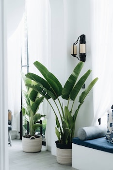 luxurious 3br villa muzo with pool by azure near w