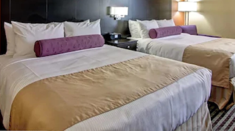 best western plus toronto north york hotel and suites