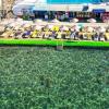 hotel bleu nuit bodrum all inclusive