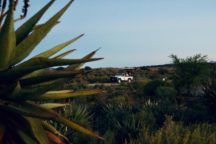 buffelsdrift game lodge