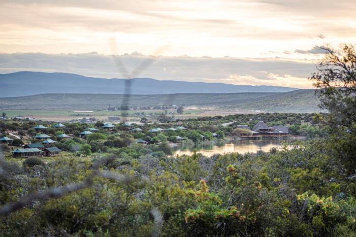 buffelsdrift game lodge