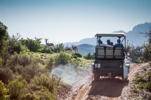 oudtshoorn