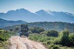 oudtshoorn