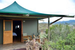 buffelsdrift game lodge