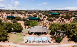 buffelsdrift game lodge