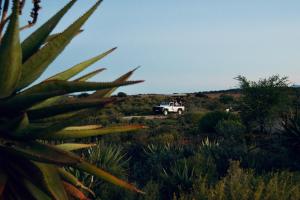 buffelsdrift game lodge