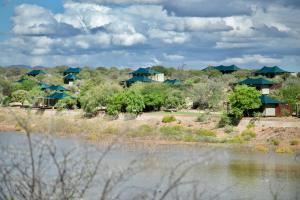 buffelsdrift game lodge