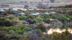 buffelsdrift game lodge