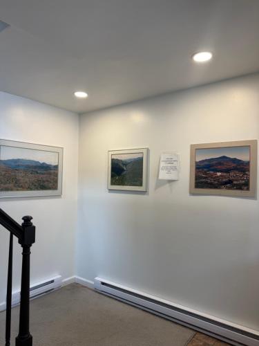 amazing mountain views