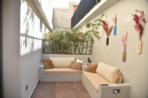 soas suites