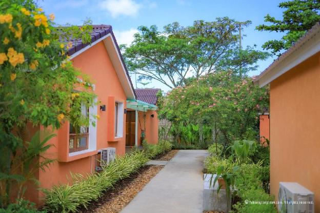 the little white bird traveller hostel koh kood
