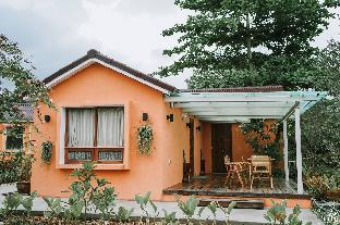 the little white bird traveller hostel koh kood