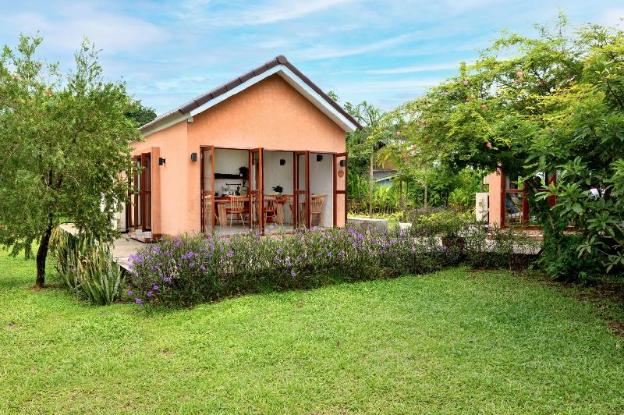 the little white bird traveller hostel koh kood