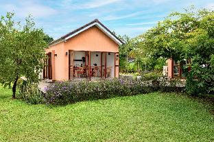 the little white bird traveller hostel koh kood