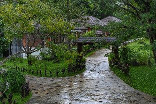 cascade tara