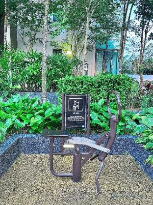 the elysia suites