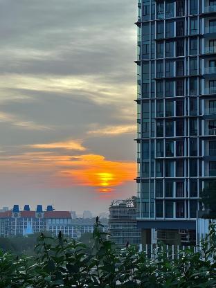 the elysia suites