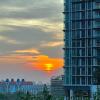 the elysia suites