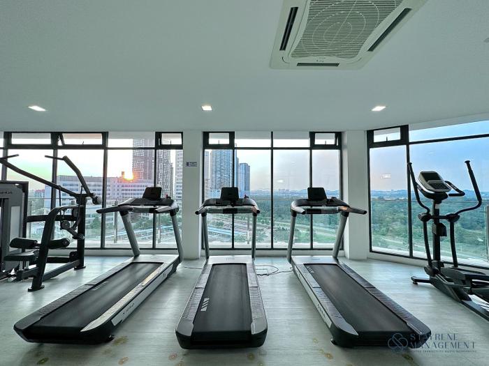 the elysia suites