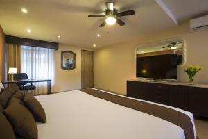 gamma cuernavaca puerta paraiso