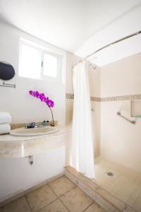 gamma cuernavaca puerta paraiso