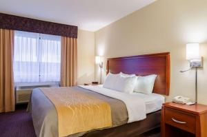 comfort inn colby
