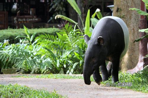 mutiara taman negara