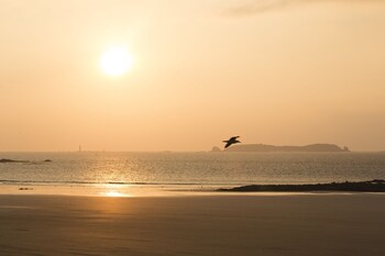 Escale Oceania Saint-Malo,La Richardais>>Dinard,3 star