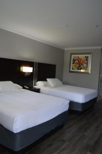 Fairview Inn And Suites,Near Pezzi King Winery,2 star