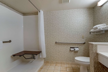 econo lodge and suites